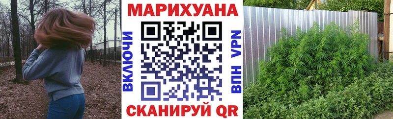 Магазин наркотиков Жирновск КОКАИН APVP Псилоцибиновые грибы Гашиш Амфетамин mega вход Меф Марихуана