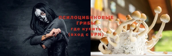 гидра Баксан