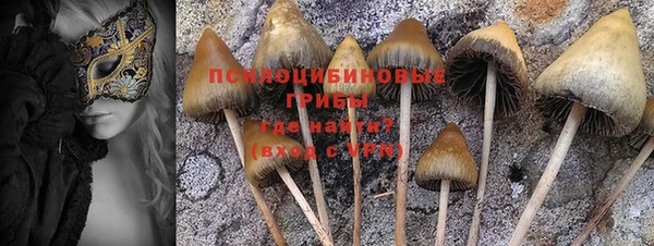меф Белокуриха